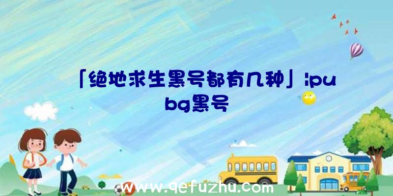 「绝地求生黑号都有几种」|pubg黑号